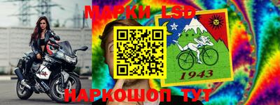бошки Будённовск